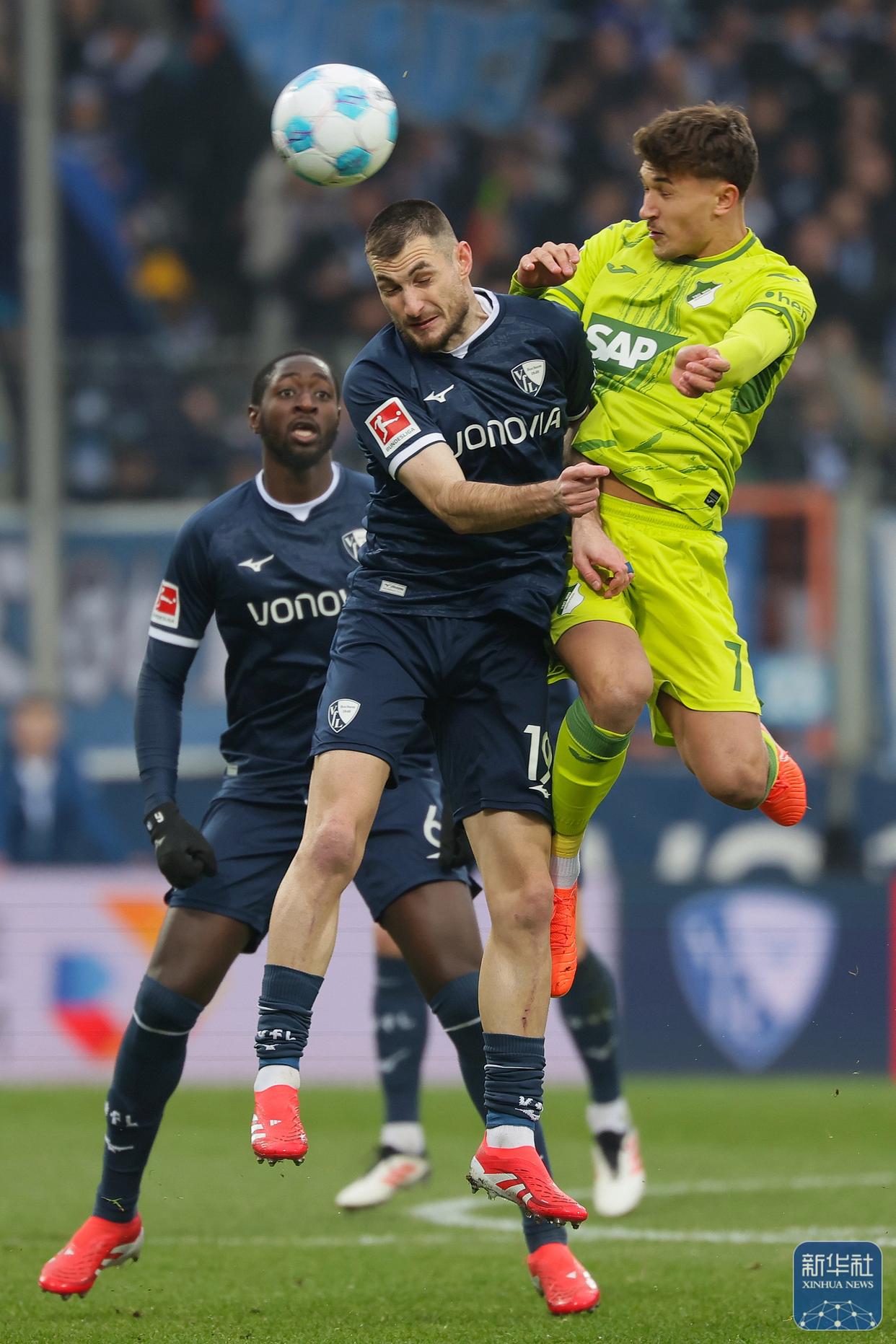 霍芬海姆战平，德甲保级形势依然严峻的简单介绍