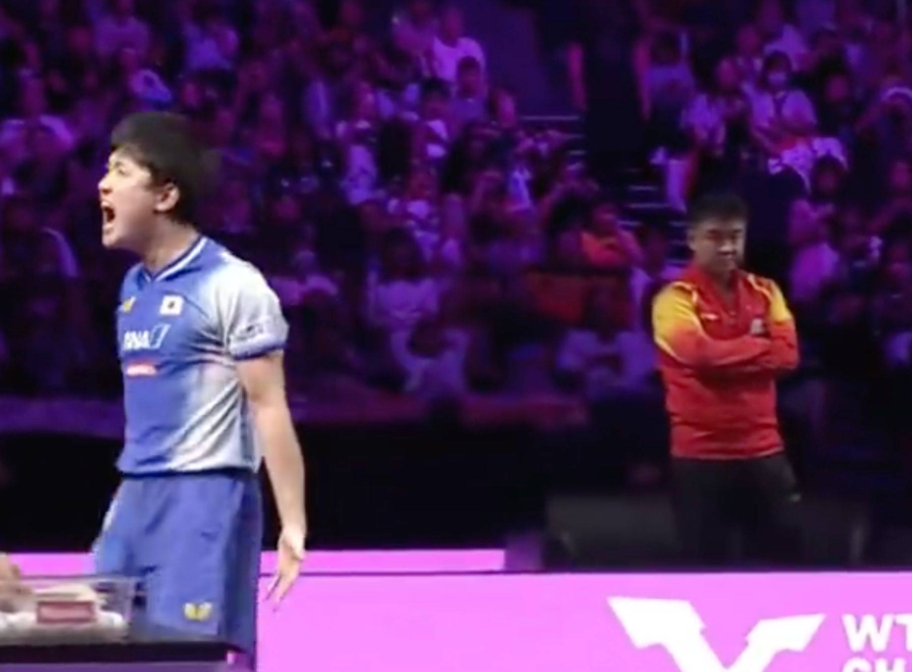 日本乒乓球队横扫韩国乒乓球队，张本智和制霸全场的简单介绍